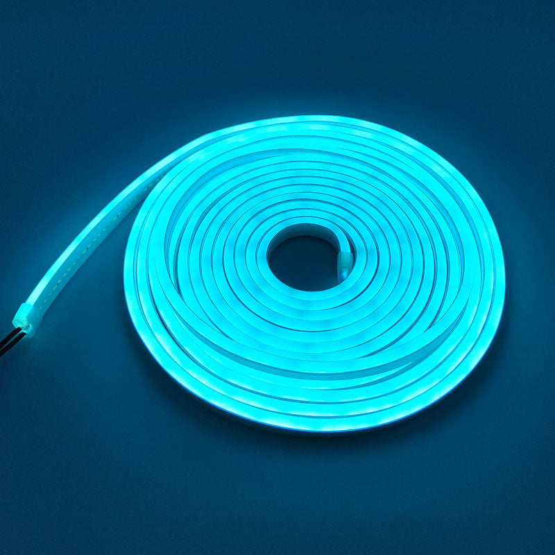 #1 Flexible Neon Light Led Strips 30/m50m Hose with 12v Source