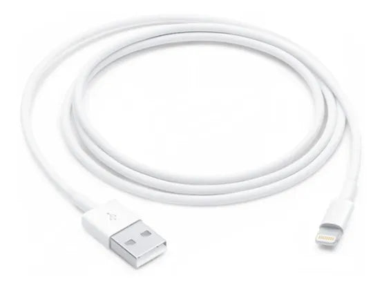 30/40/50Quantity White USB 2.0 Lightning cable with USB input Lightning output